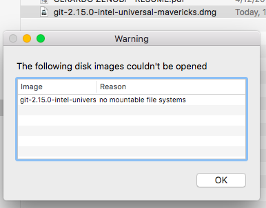 dmg file error no mountable file system